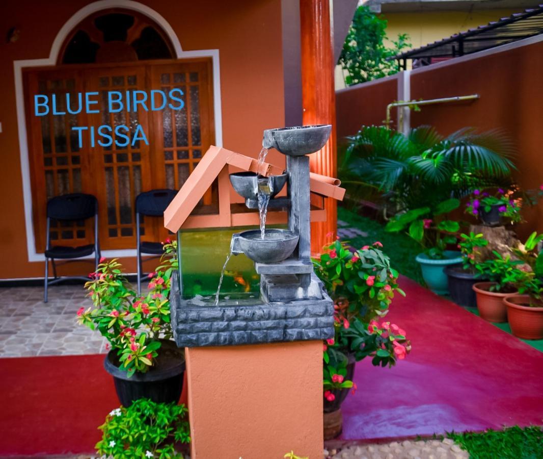 Blue Birds Tissa & Yala Safari Hotel Tissamaharama Exterior photo